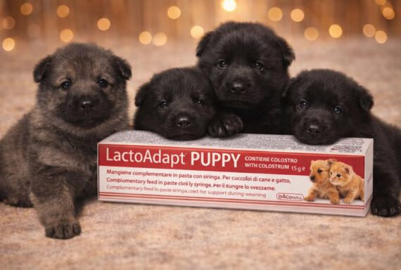 Unsere Welpen werden morgen drei Wochen alt.