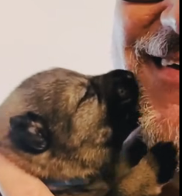 Manchmal sagen kleine Momente mehr als tausend Worte…